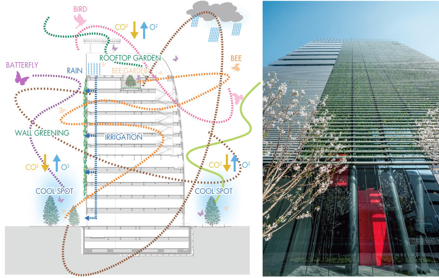 Yanmar Headquarters Building. Urban ecological colony formation diagram and large-scale wall planting