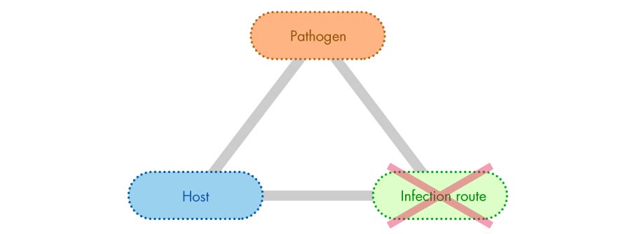 Pathogen x host x infection route