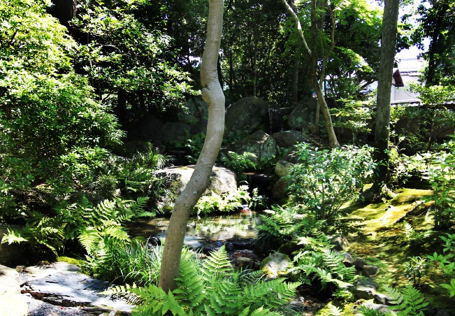 Photo 3: Waterfall