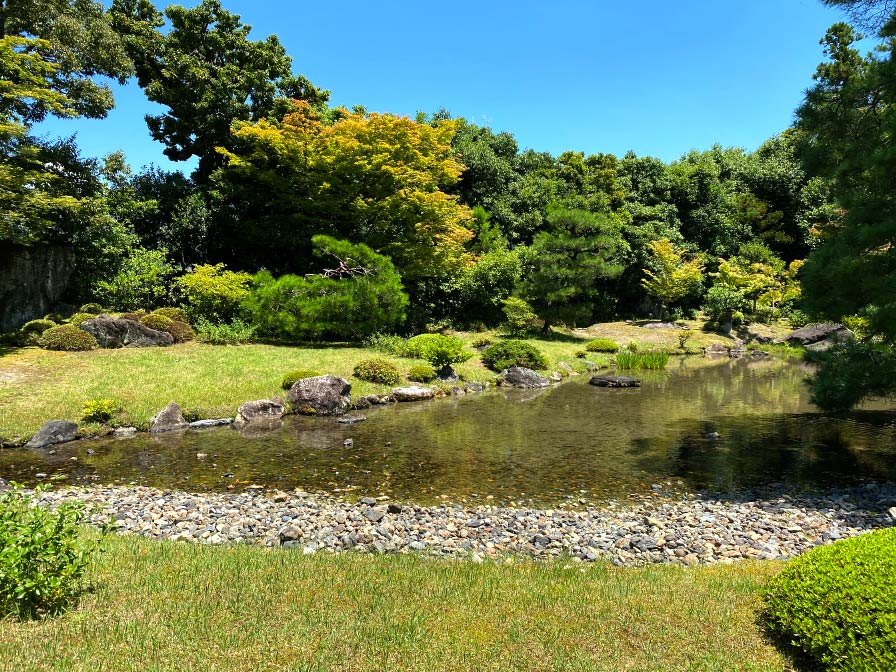 Photo 4: Pond