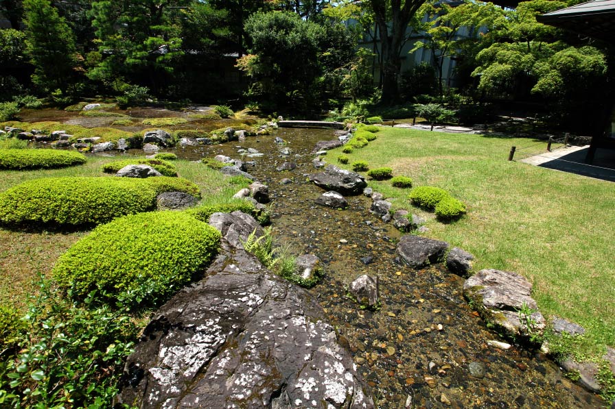 Photo 5: The stream